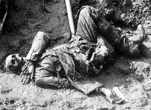 Picture of an unburied soldier in the Great War