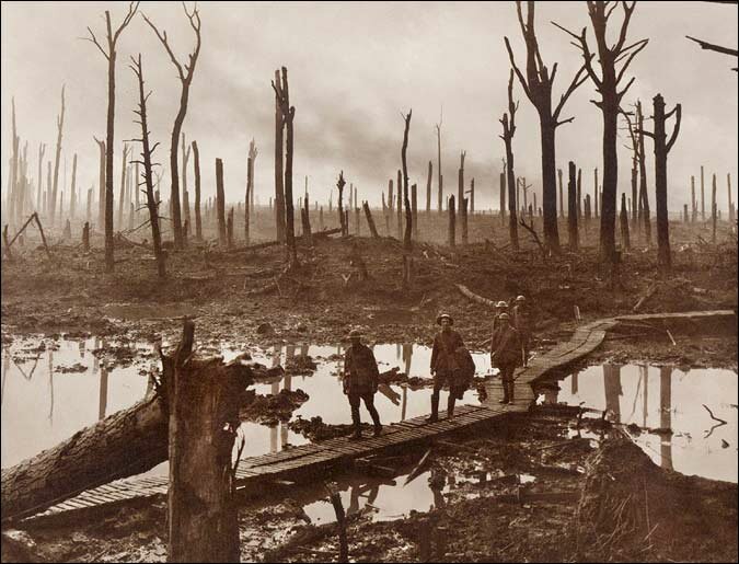 The Shell-Shattered Area of Chateau Wood, Flanders